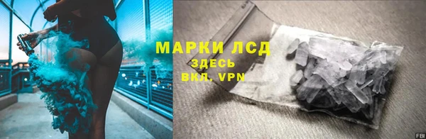 стаф Нефтекумск