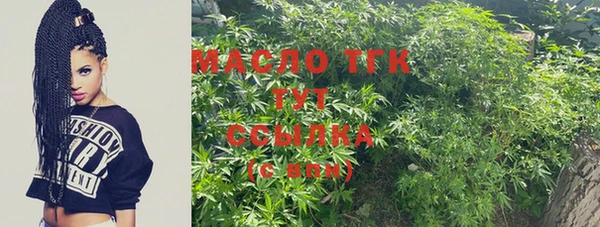 крисы Билибино