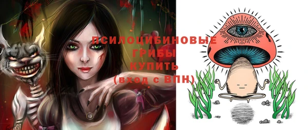 mdpv Белая Холуница