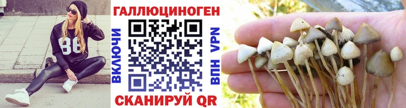 Псилоцибиновые грибы Magic Shrooms kraken как зайти Барыш