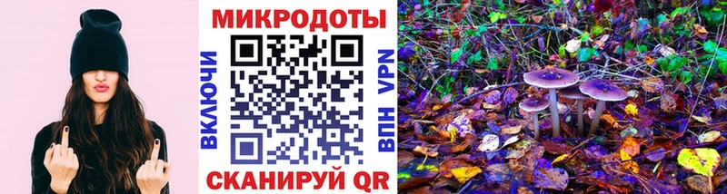 Галлюциногенные грибы Psilocybe Барыш